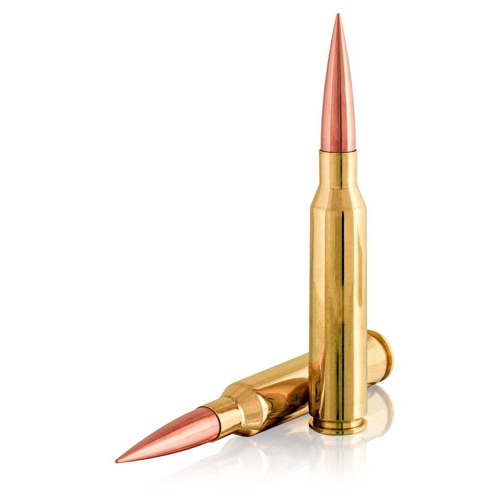 rifle ammo