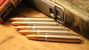 35 Whelen Ammo