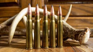 303 Bristish Ammo 