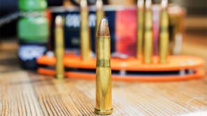 22 hornet ammo