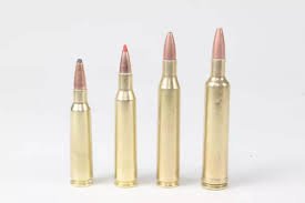 257 roberts ammo