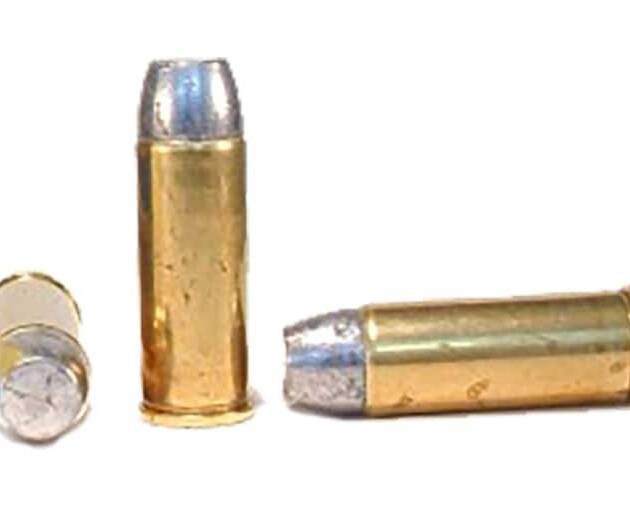 Buffalo Bore Heavy 480 Ruger Ammo 370 Grain Hard Cast Lead Flat Nose Gas Check Box of 300